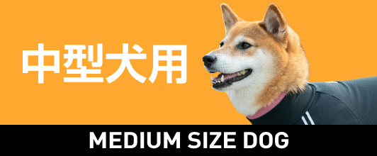 マナーガード R マナー サニタリーパンツ