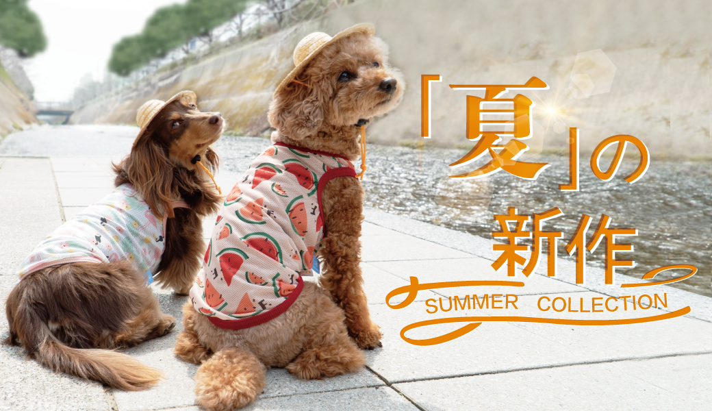 ダックス、猫 、小型犬の服、ドッグスリング（犬用スリング