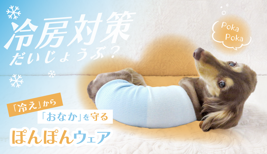 ダックス、猫 、小型犬の服、ドッグスリング（犬用スリング