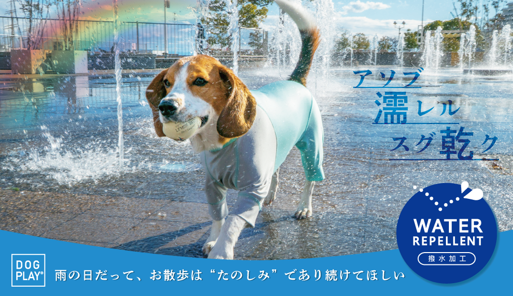 ダックス、猫 、小型犬の服、ドッグスリング（犬用スリング）、犬・猫