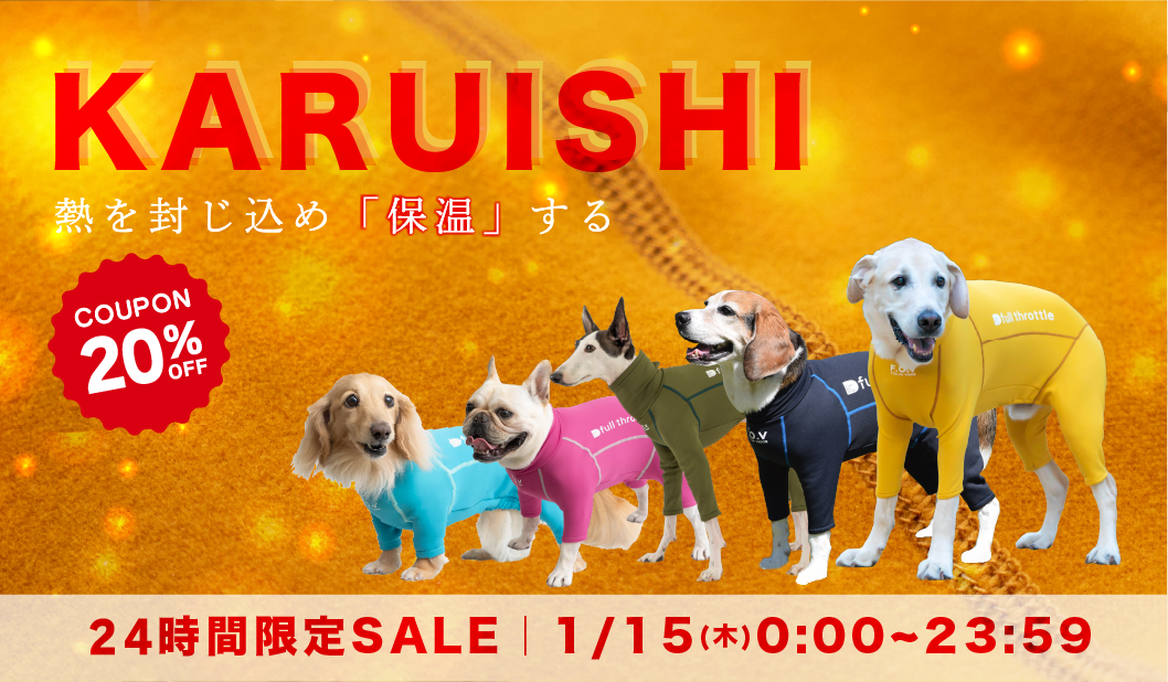 ダックス、猫 、小型犬の服、ドッグスリング（犬用スリング）、犬・猫