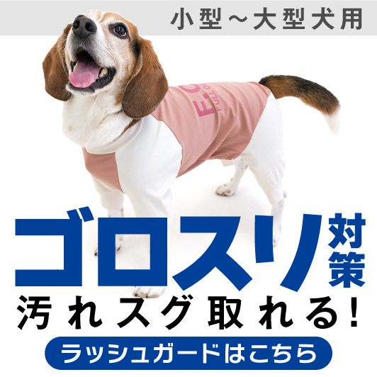 ダックス、猫 、小型犬の服、ドッグスリング（犬用スリング）、犬・猫