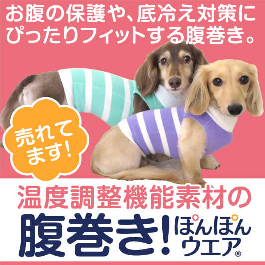 ダックス、小型犬の服、ドッグスリング(犬用スリング)、犬・猫の服 ダックス、小型犬の服、ドッグスリング(犬用スリング)、犬・猫の服
