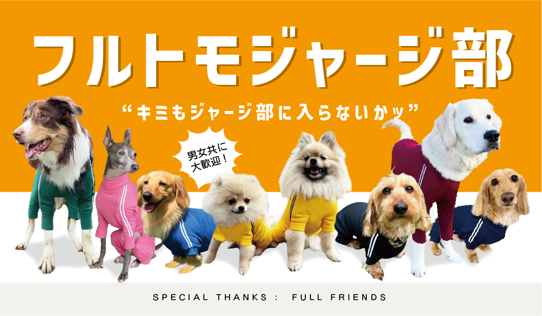 ダックス、猫 、小型犬の服、ドッグスリング（犬用スリング