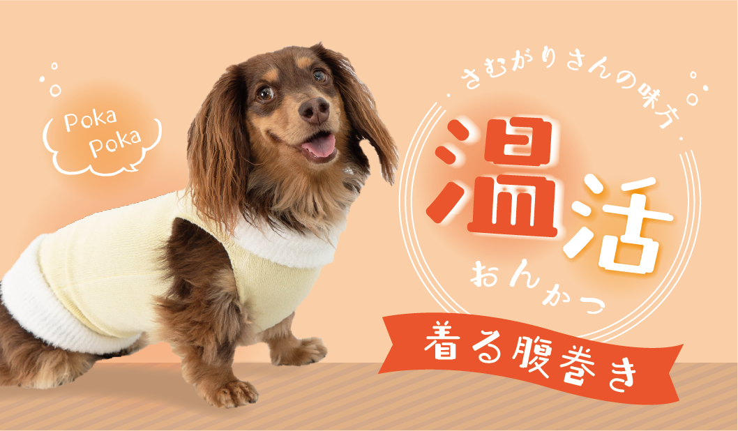 犬服 SS わんこの普段着オレンジに車