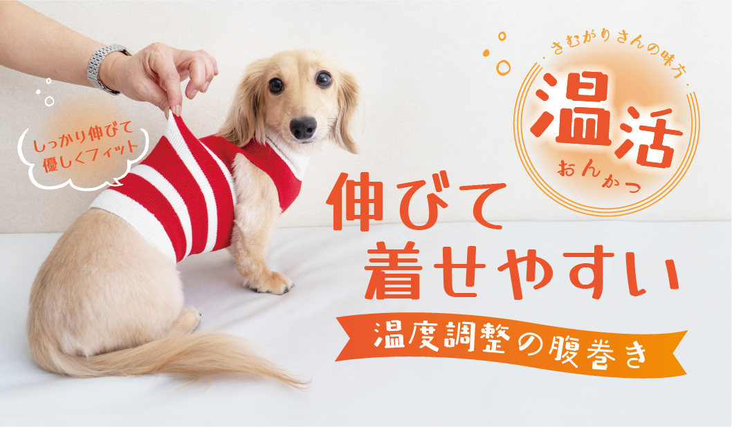 犬服・アクセサリー yuu DXM ダックス、猫 、小型犬の服、ドッグスリング（犬用スリング）、犬・猫
