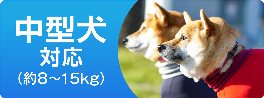 中型犬用