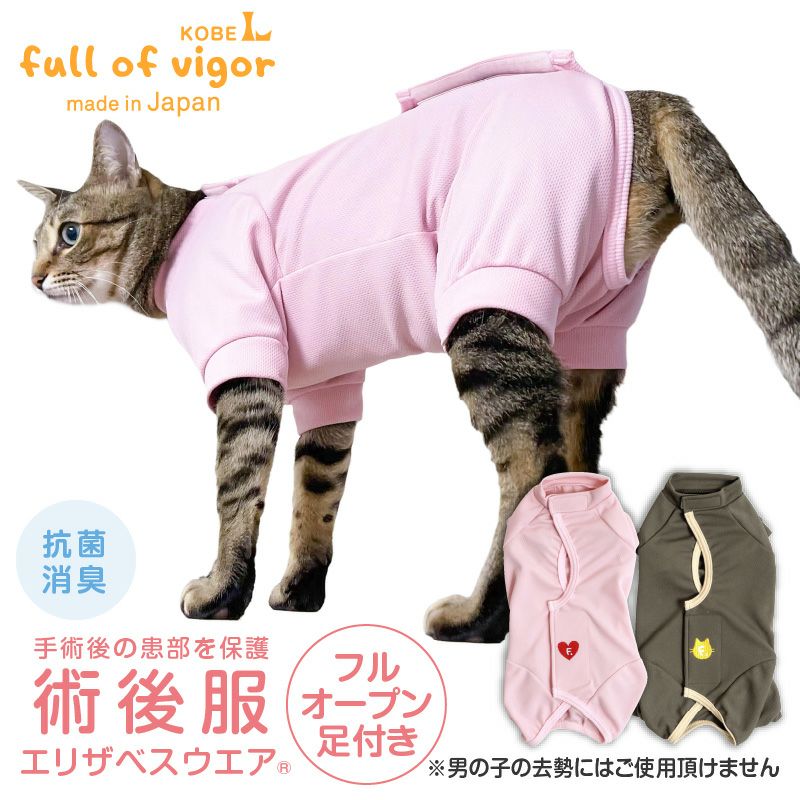 フルオープン足付き術後服エリザベスウエア R 男女兼用 猫用 抗菌 消臭素材 ネコポス値2 犬猫の服の通販フルオブビガー本店