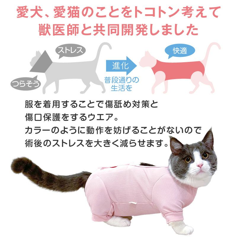 フルオープン足付き術後服エリザベスウエア R 男女兼用 猫用 抗菌 消臭素材 ネコポス値2 犬猫の服の通販フルオブビガー本店