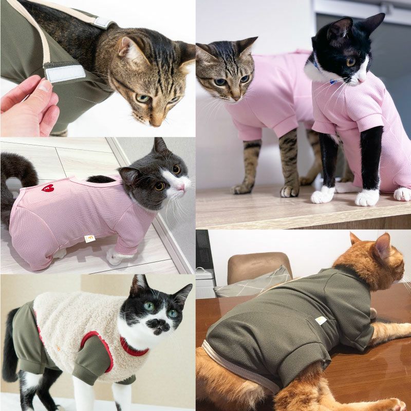 猫の服-キャットウエア|フルオブビガー