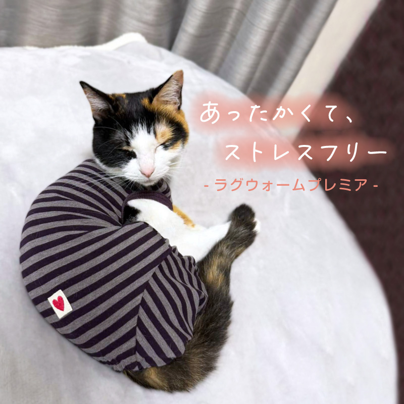 商品画像2