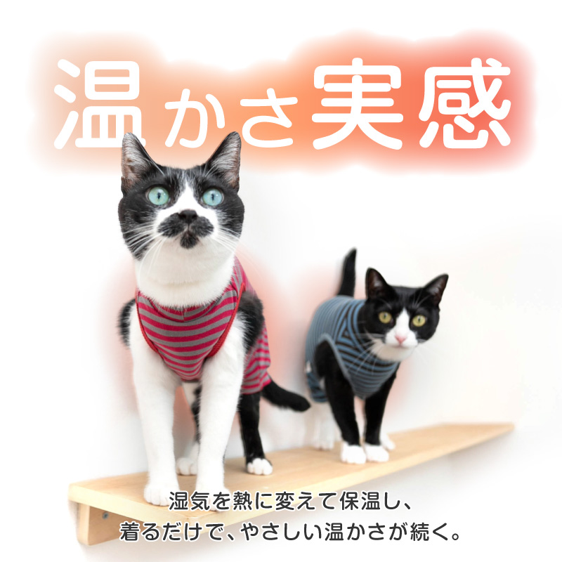 商品画像5