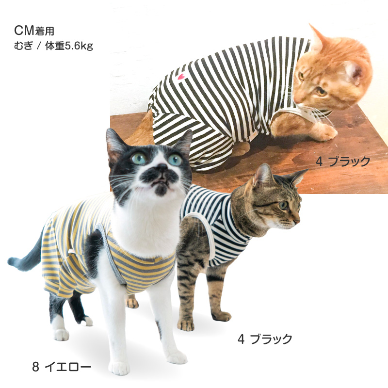 3/レッド