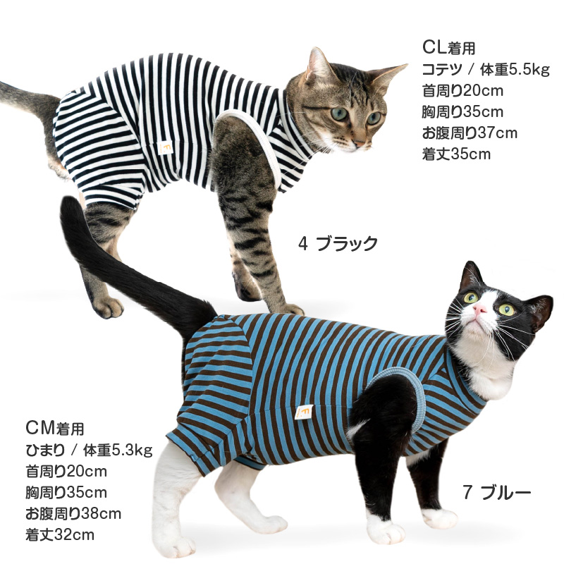 4/ブラック