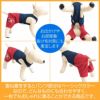 メッシュインナー付肉球ロゴ刺しゅうパンツ