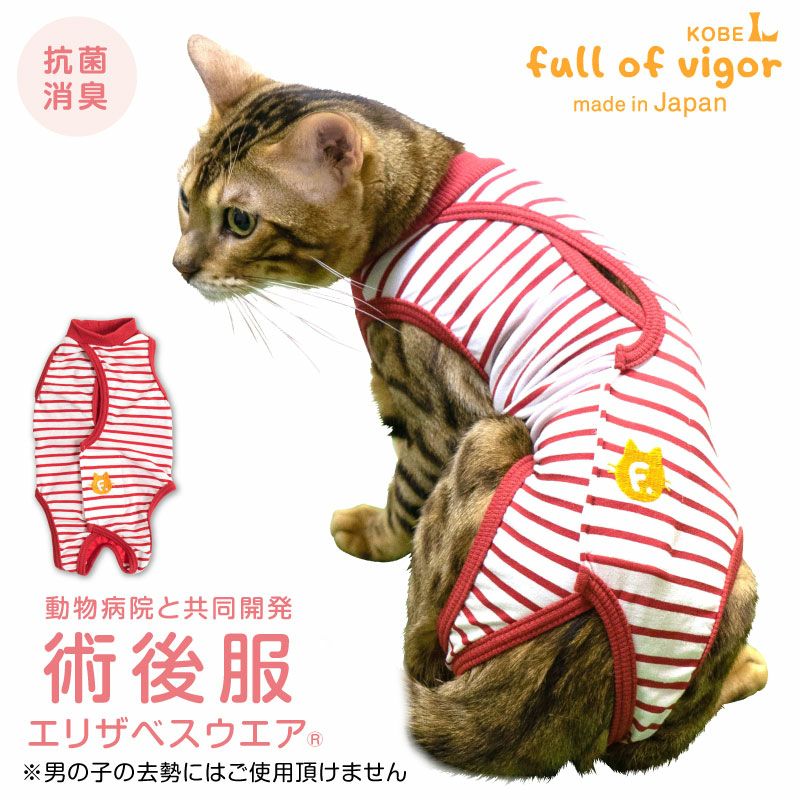 犬 猫用術後服エリザベスウエア R