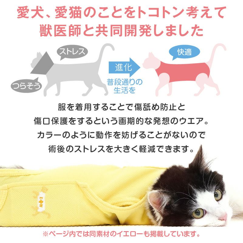 ハート刺繍猫用術後服エリザベスウエア(R)(男女兼用/猫用/抗菌・消臭