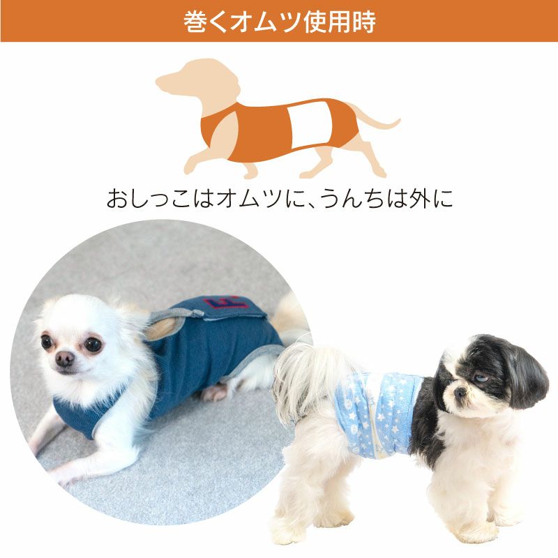 抗菌 消臭機能付き介護服マナーガード R 男の子 ダックス 小型犬用 ネコポス値2 犬猫の服の通販フルオブビガー本店