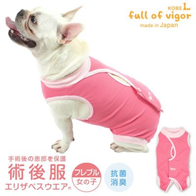 フレンチブルドッグ・パグ用