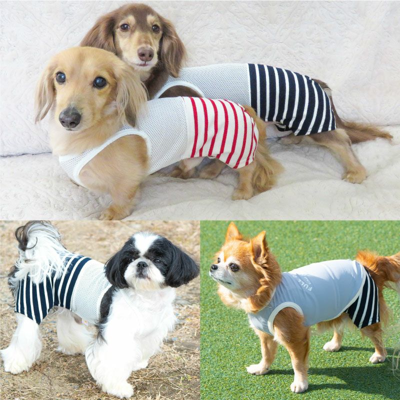 メッシュインナー付天竺ボーダーパンツ(ダックス・小型犬用)