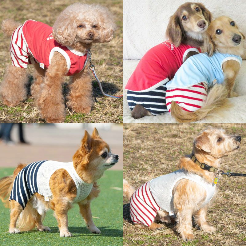 メッシュインナー付天竺ボーダーパンツ(ダックス・小型犬用)