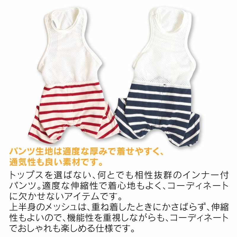 メッシュインナー付天竺ボーダーパンツ(ダックス・小型犬用)