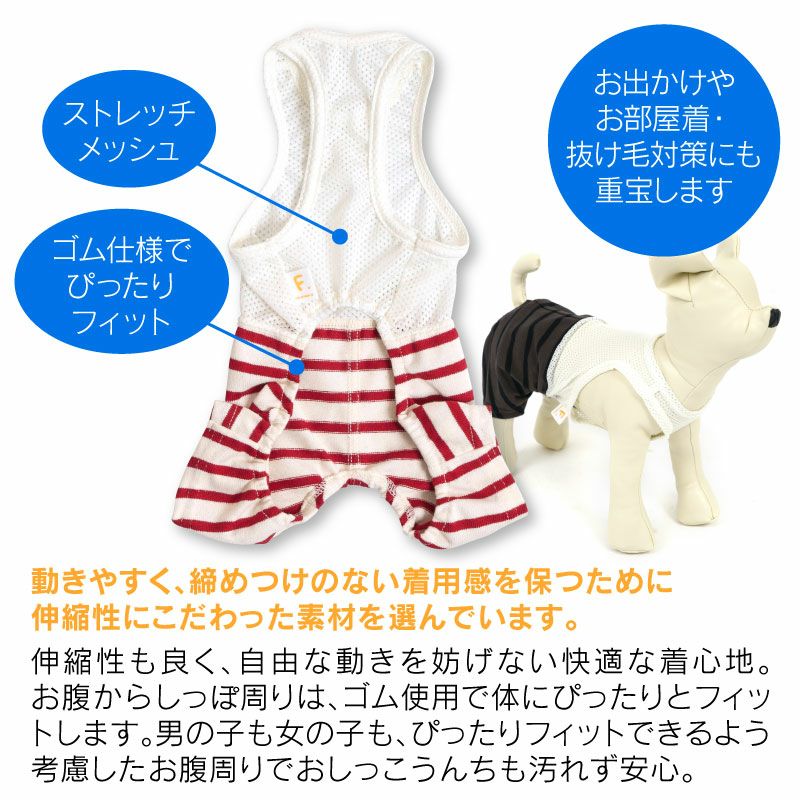 メッシュインナー付天竺ボーダーパンツ(ダックス・小型犬用)