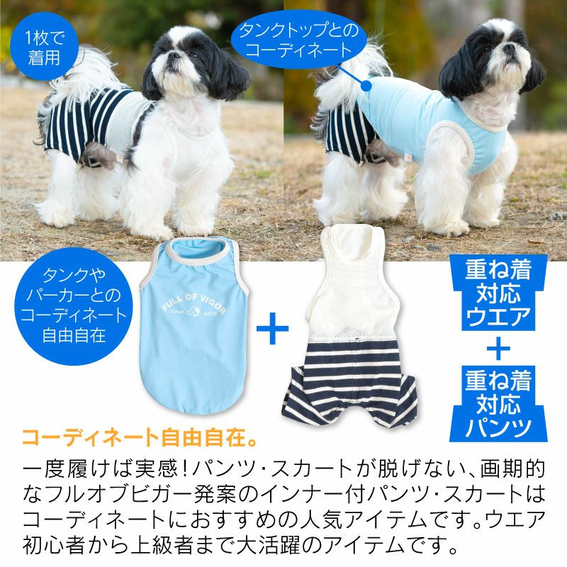 メッシュインナー付天竺ボーダーパンツ(ダックス・小型犬用)