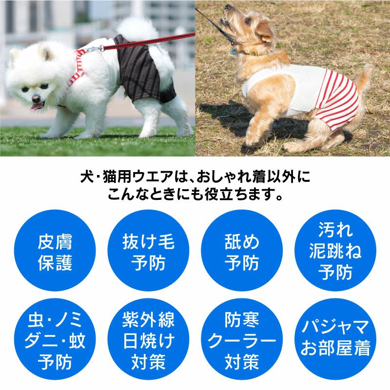 メッシュインナー付天竺ボーダーパンツ(ダックス・小型犬用)
