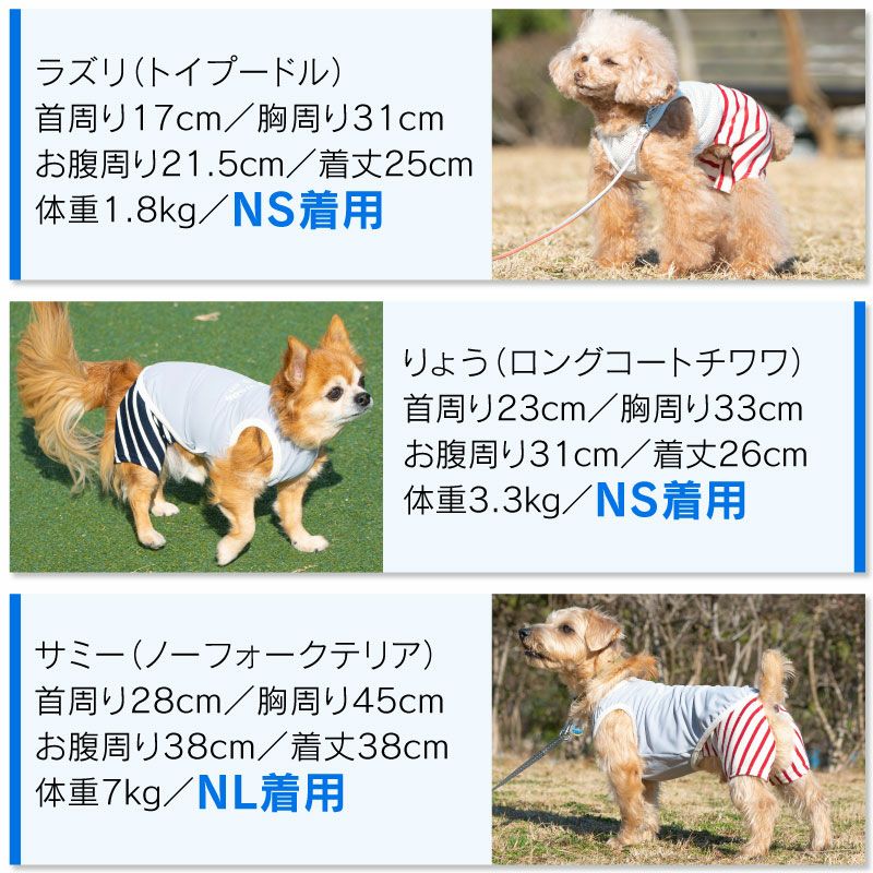 メッシュインナー付天竺ボーダーパンツ(ダックス・小型犬用)