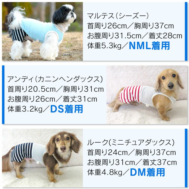 メッシュインナー付天竺ボーダーパンツ(ダックス・小型犬用)