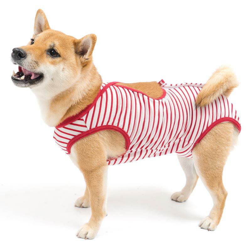 消臭機能付き介護服マナーガード(R)(男女兼用/中型犬用)