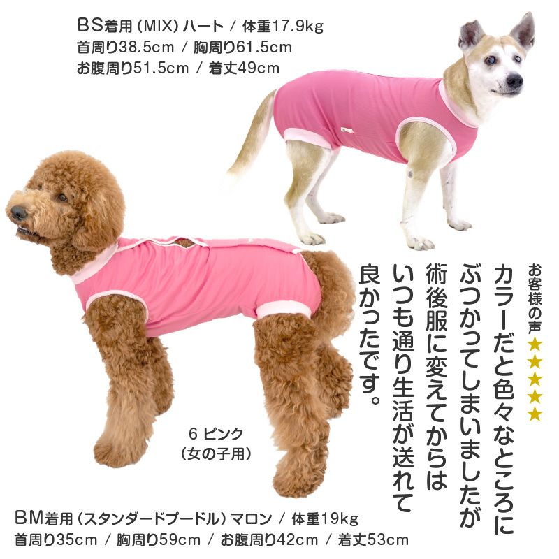 大型犬用 術後服エリザベスウエア(R) 女の子 抗菌 消臭素材 | ダックス