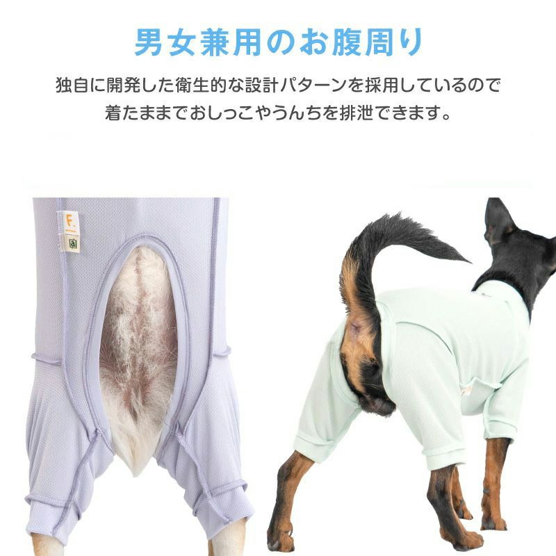 皮膚保護服スキンウエア(R)(男の子/中型犬用/抗菌・消臭素材)