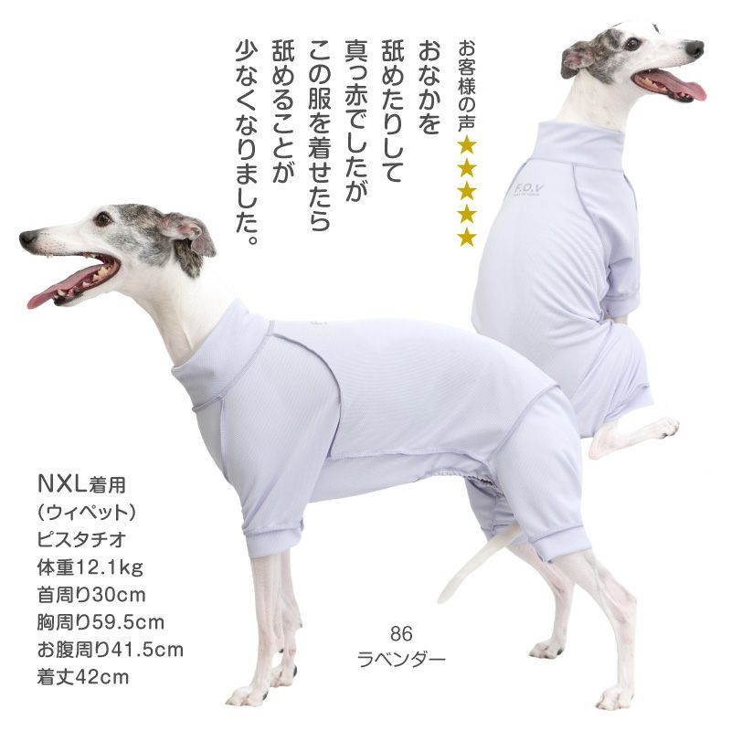 皮膚保護服スキンウエア R 旧名エリザベスウエア 男の子 中型犬用 抗菌 消臭素材 ネコポス値3 犬猫の服の通販フルオブビガー本店