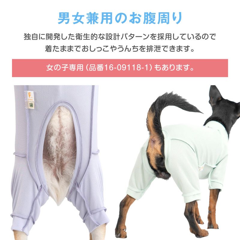 皮膚保護服スキンウエア(R)(男の子/ダックス・小型犬用/抗菌・消臭素材)