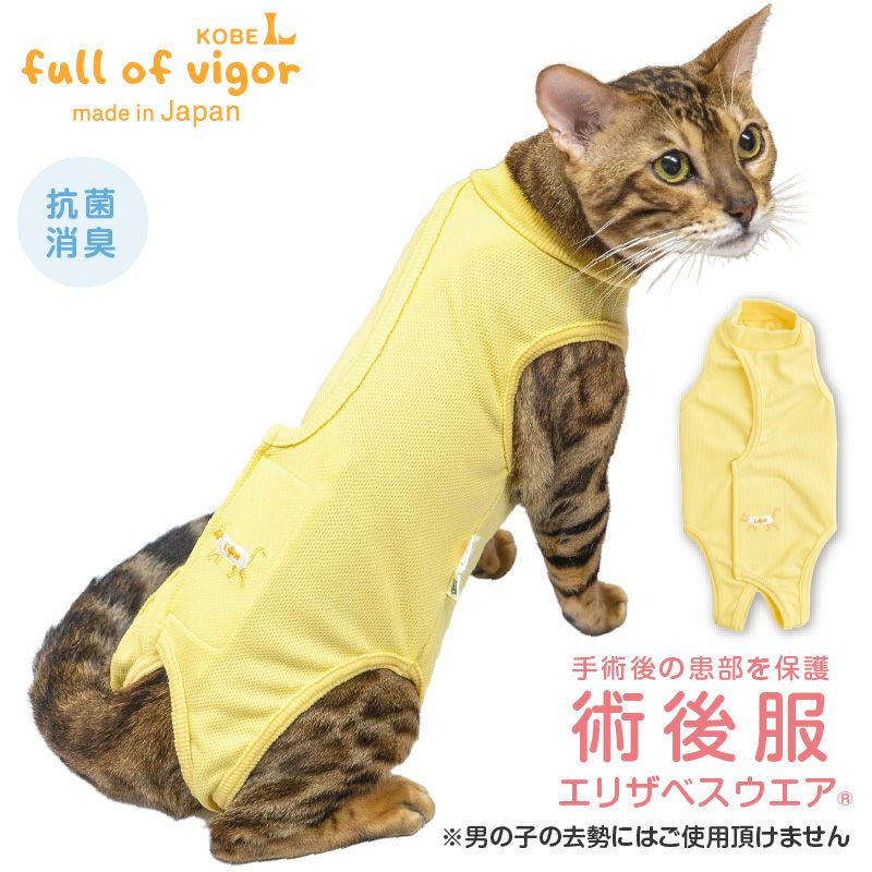 L 術後服 猫 犬 スイカ 手術 - 猫用品