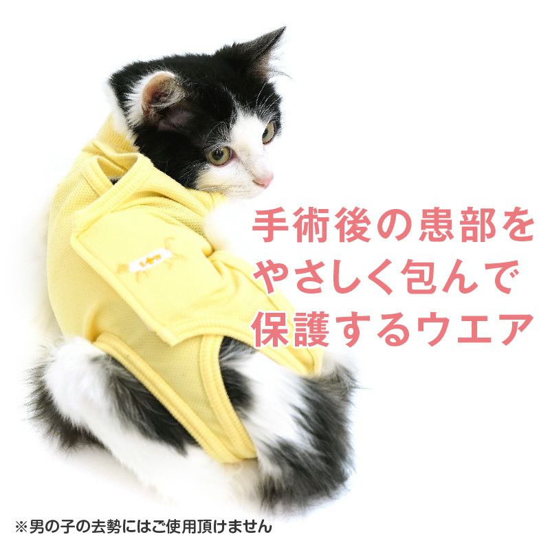 術後服エリザベスウエア(R)(男女兼用/猫用/抗菌・消臭素材) | 犬猫の服