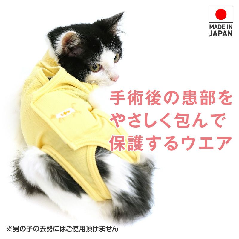 猫用術後服エリザベスウエア(R)