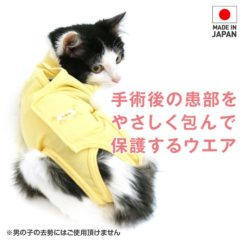 猫用術後服エリザベスウエア(R)