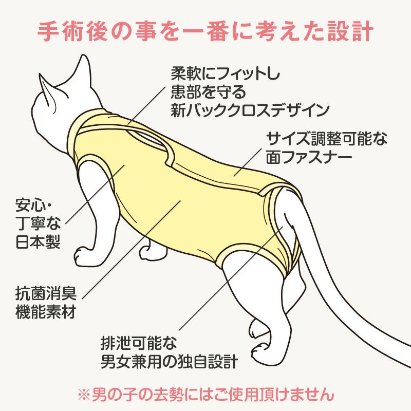 猫用術後服エリザベスウエア(R)