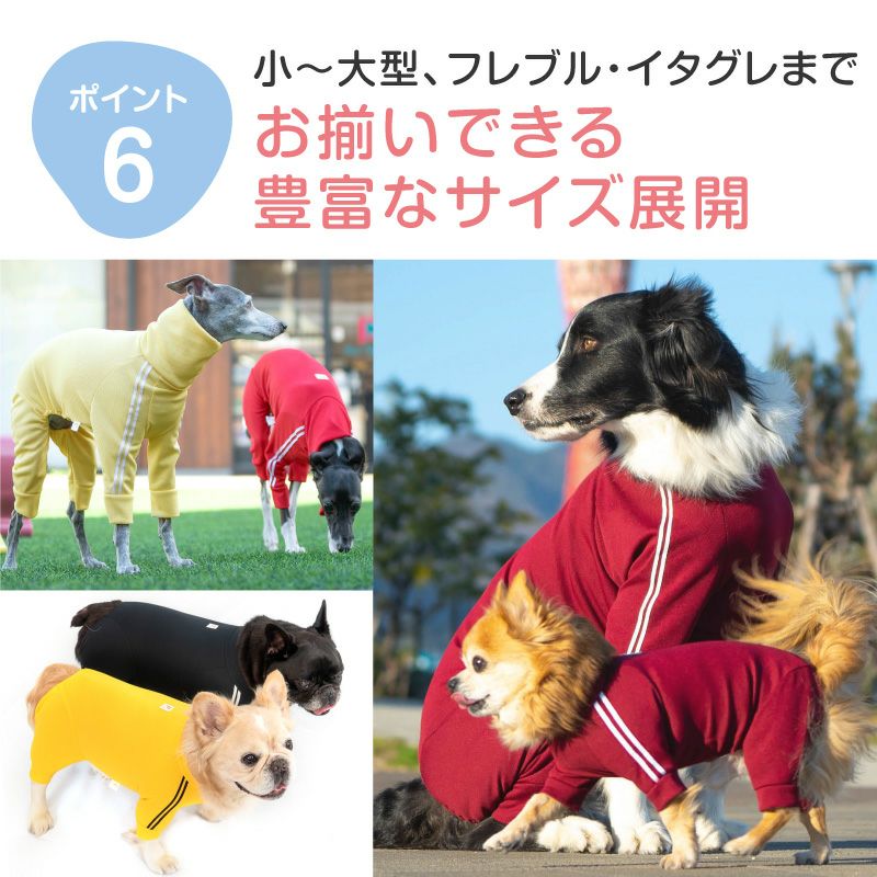 大型 犬 ジャージ