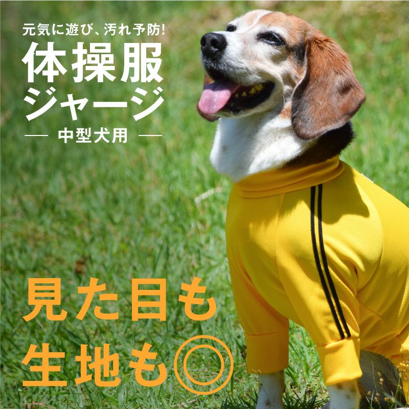 ドッグプレイ R 体操服ジャージつなぎ 中型犬用 ネコポス値3 犬猫の服の通販フルオブビガー本店