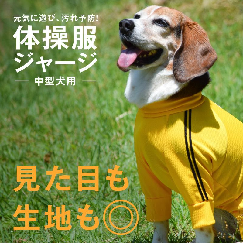 商品画像3