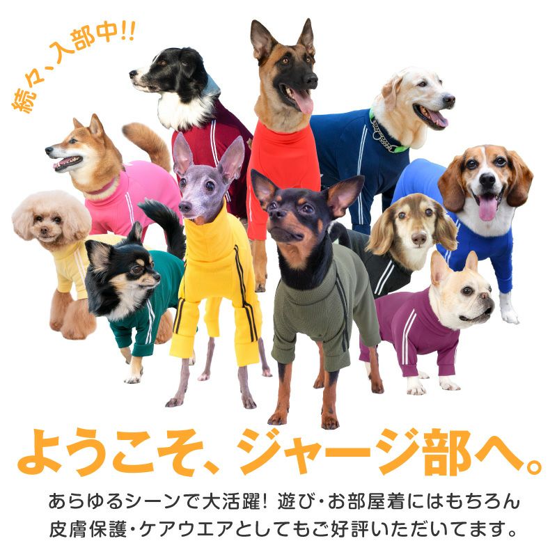 犬 用 クリアランス ジャージ