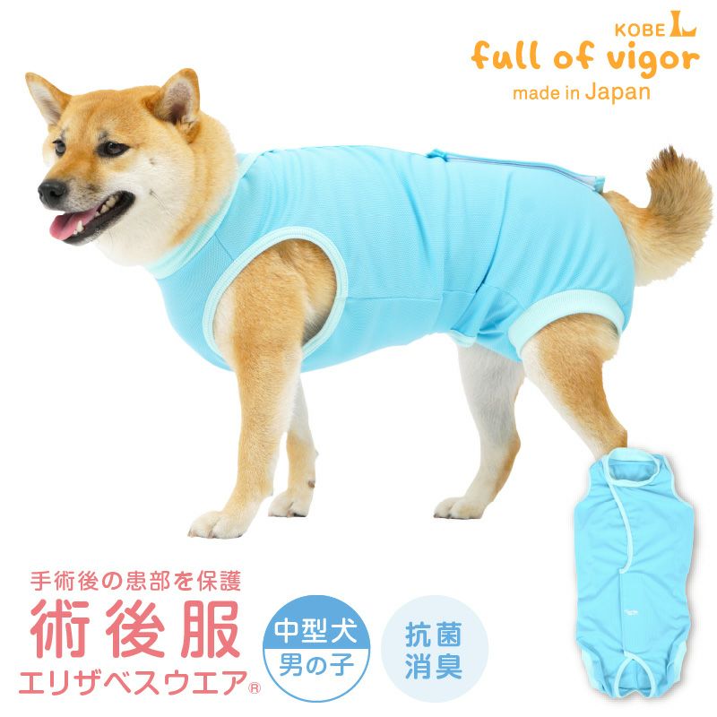 術後服エリザベスウエア(R)(男の子/中型犬用/抗菌・消臭素材 