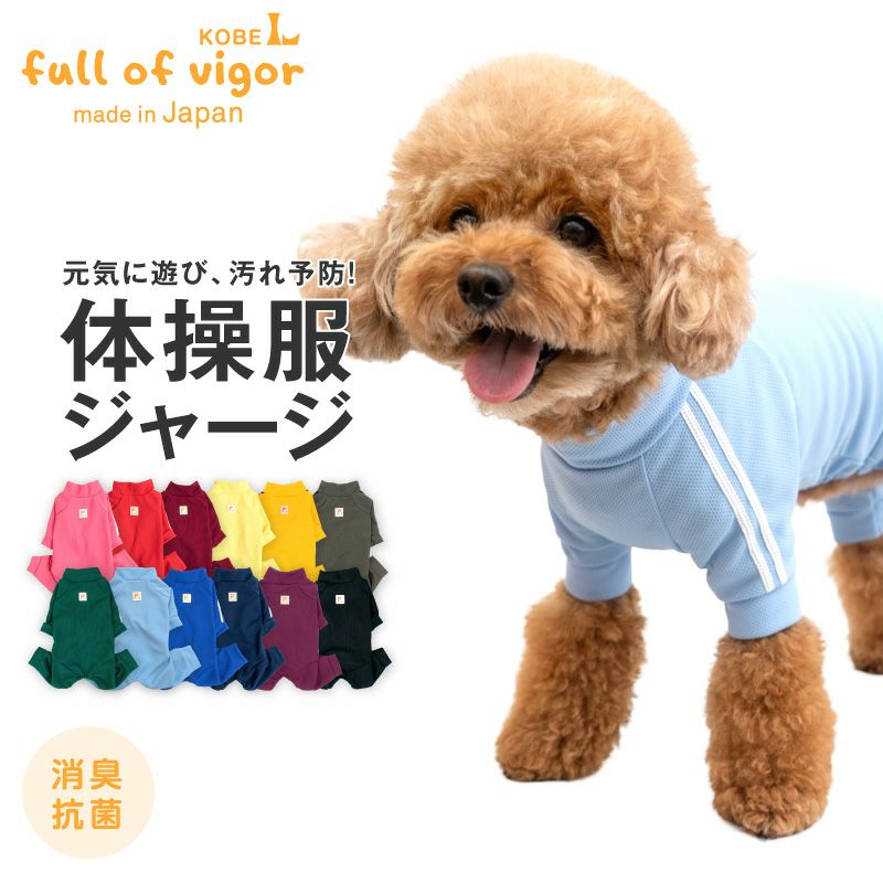 ドッグプレイ R 体操服ジャージつなぎ ダックス 小型犬用 ネコポス値3 ダックス 小型犬専門 ドッグスリング 犬の服 マナーパンツ サニタリーパンツ ドッグウェア チワワ コーギー トイプードル パグ の犬の服の通販フルオブビガー