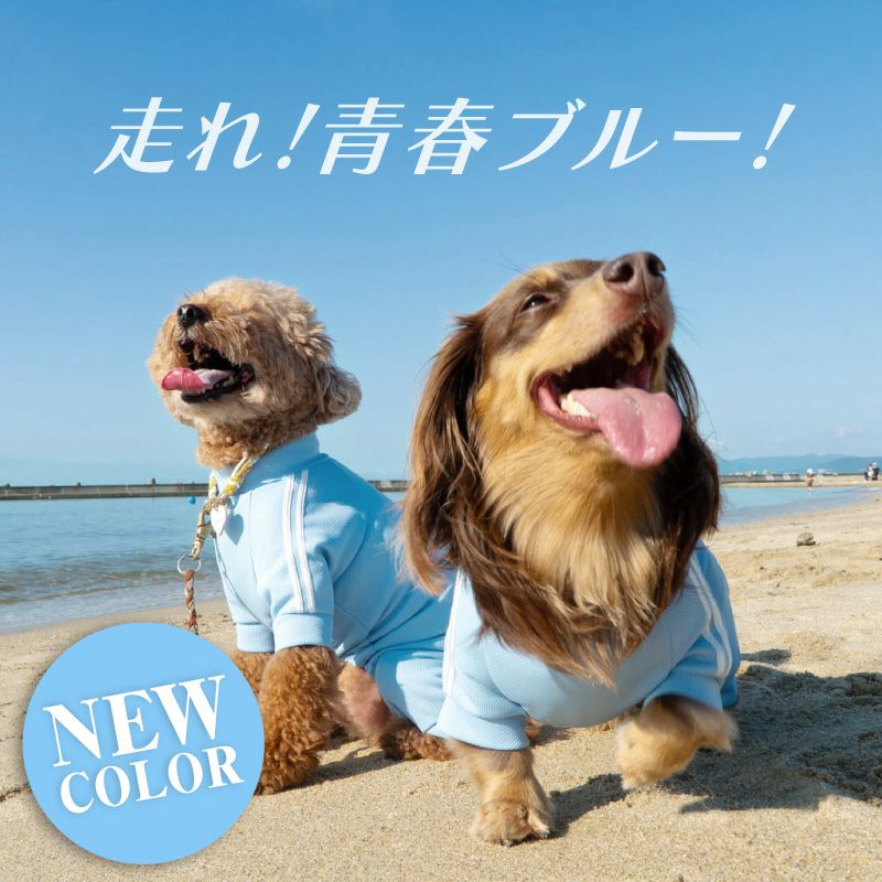 商品画像2