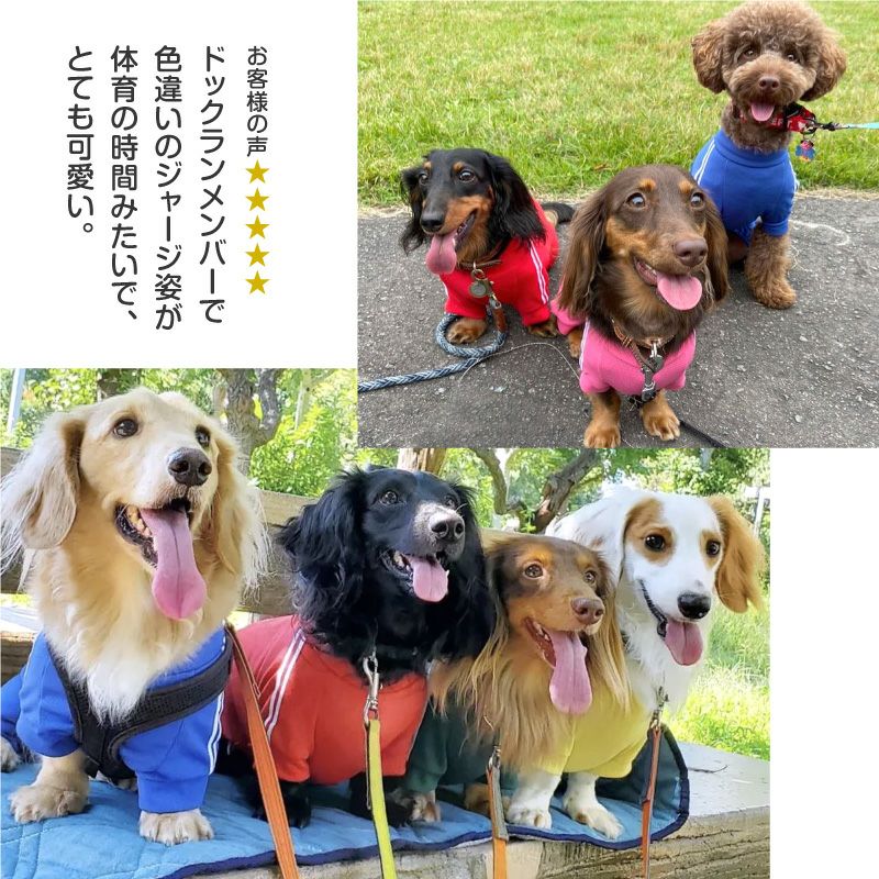 ドッグプレイ(R)体操服ジャージつなぎ(ダックス・小型犬用) | 犬猫の服