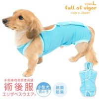 術後服エリザベスウエア(R)(男の子/ダックス・小型犬用)